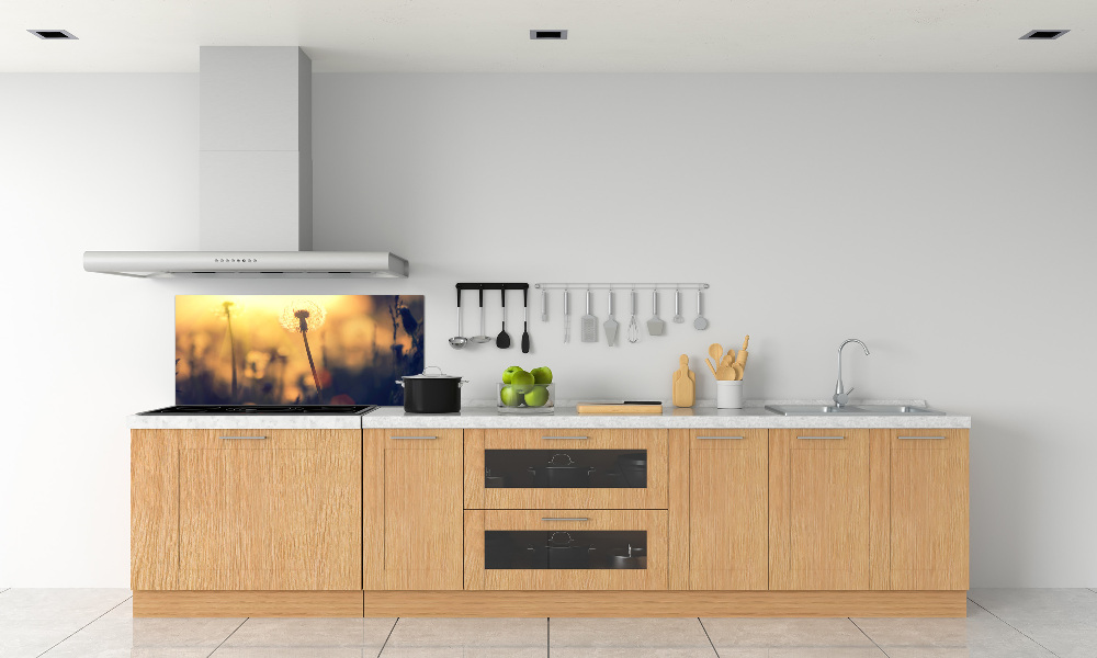 Kitchen splashback Dandelion