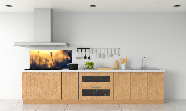 Kitchen splashback Dandelion