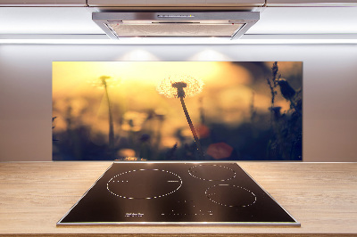 Kitchen splashback Dandelion