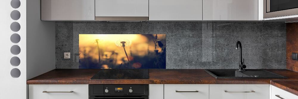 Kitchen splashback Dandelion