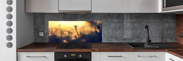 Kitchen splashback Dandelion