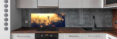 Kitchen splashback Dandelion