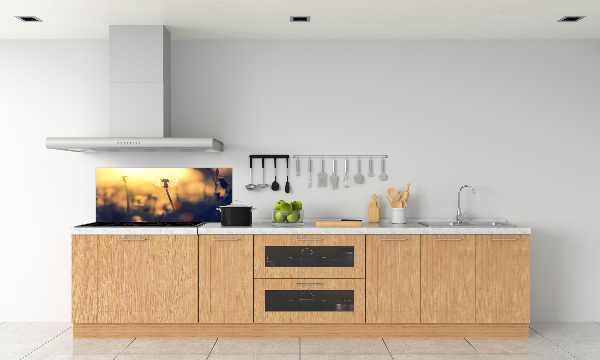 Kitchen splashback Dandelion