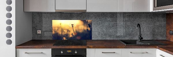 Kitchen splashback Dandelion