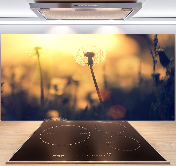 Kitchen splashback Dandelion