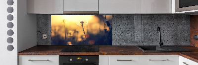 Kitchen splashback Dandelion