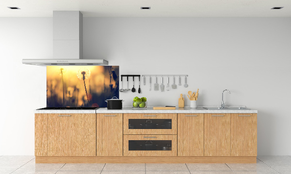 Kitchen splashback Dandelion