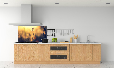 Kitchen splashback Dandelion