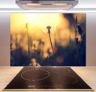 Kitchen splashback Dandelion