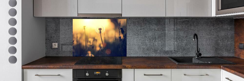 Kitchen splashback Dandelion