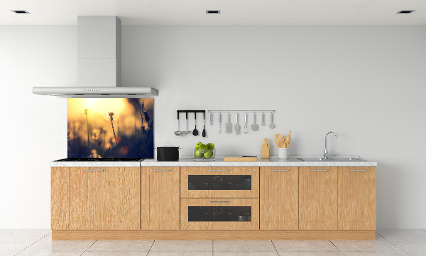 Kitchen splashback Dandelion