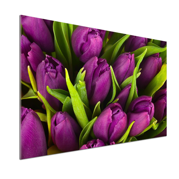 Hob splashback Violet tulips