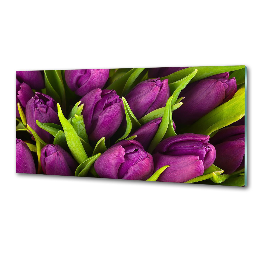 Hob splashback Violet tulips