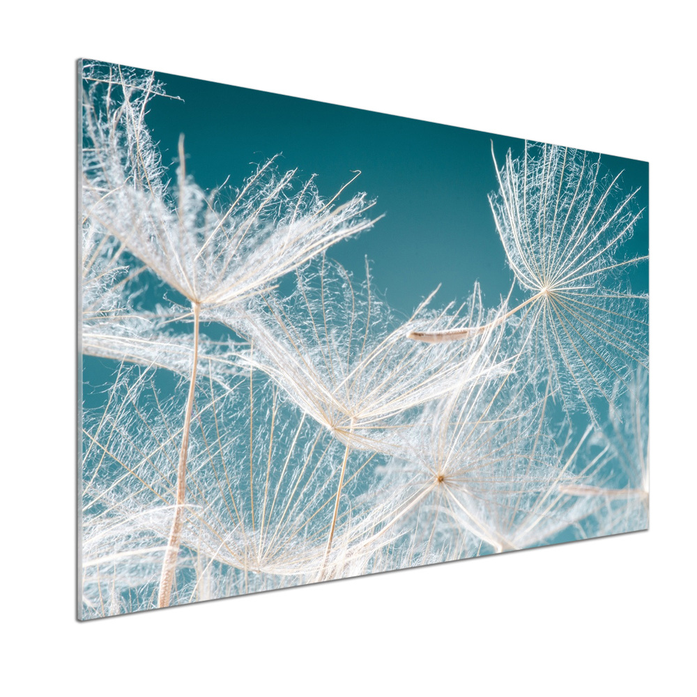 Kitchen wall panels Dandelion seeds