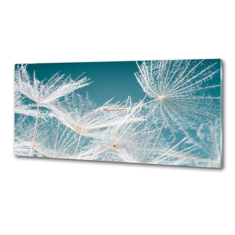 Kitchen wall panels Dandelion seeds