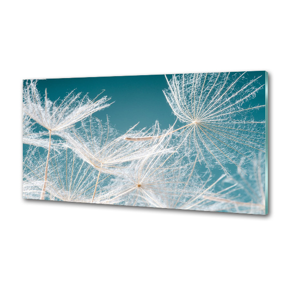 Kitchen wall panels Dandelion seeds