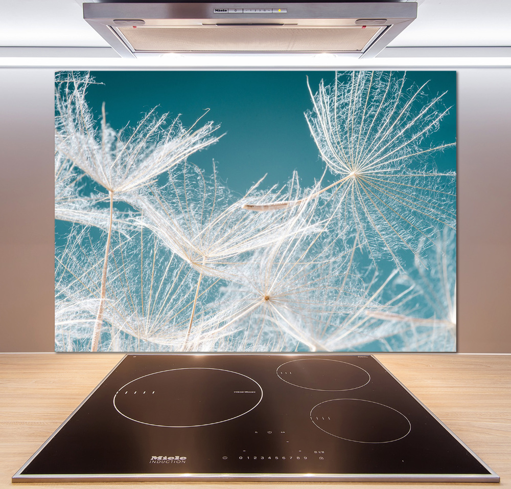 Kitchen wall panels Dandelion seeds