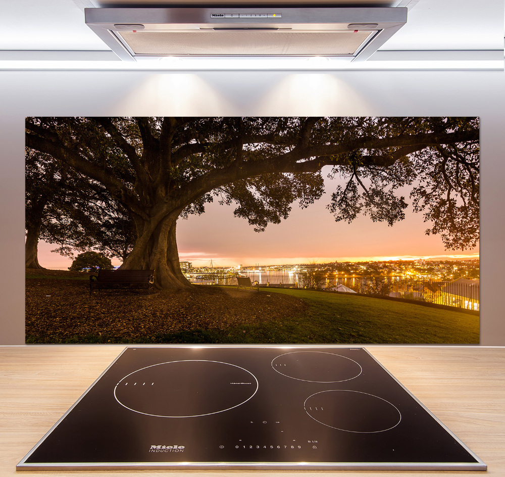 Cooker splashback Old tree