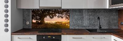 Cooker splashback Old tree