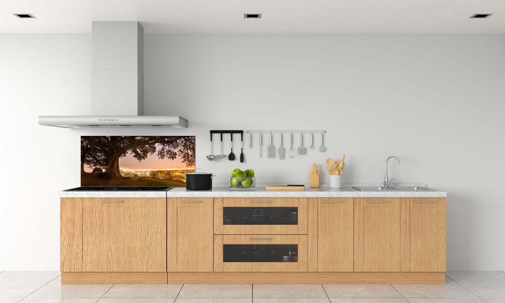 Cooker splashback Old tree