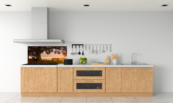 Cooker splashback Old tree