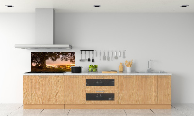 Cooker splashback Old tree