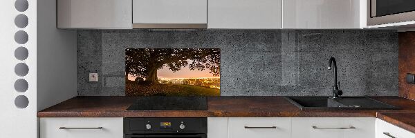 Cooker splashback Old tree