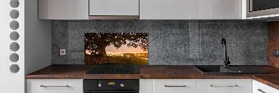 Cooker splashback Old tree