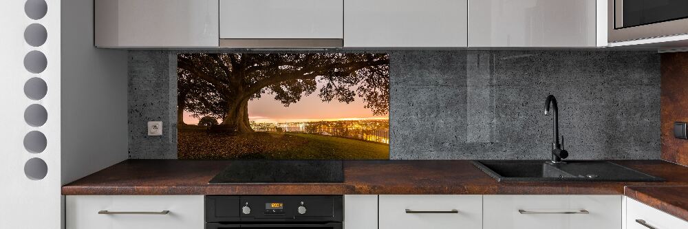 Cooker splashback Old tree