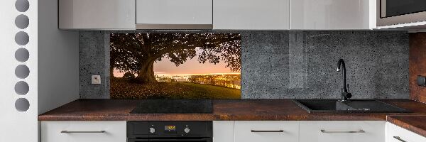 Cooker splashback Old tree