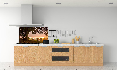 Cooker splashback Old tree