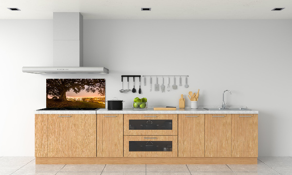 Cooker splashback Old tree