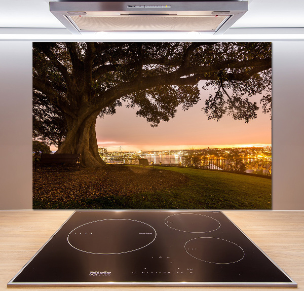 Cooker splashback Old tree