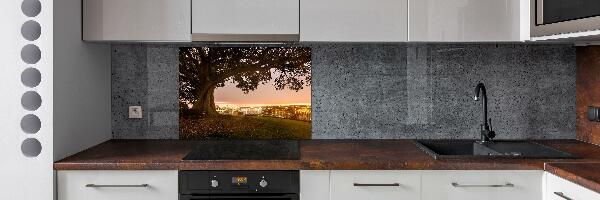 Cooker splashback Old tree