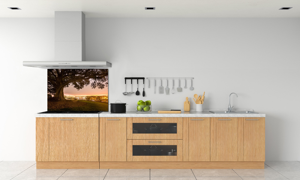 Cooker splashback Old tree