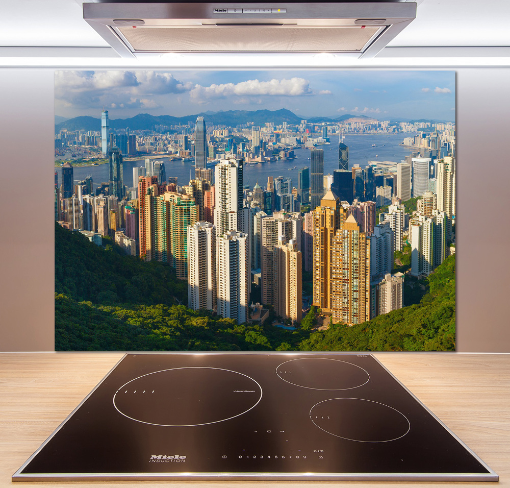 Cooker splashback Hong Kong Panorama