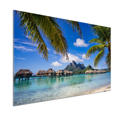 Cooker splashback Palms on Bora Bora