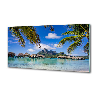 Cooker splashback Palms on Bora Bora