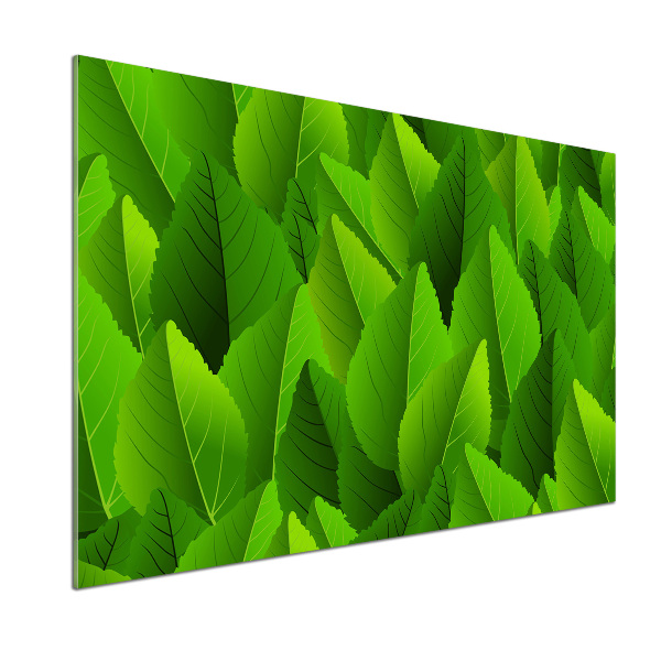 Kitchen splashback Green leaves