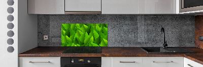 Kitchen splashback Green leaves