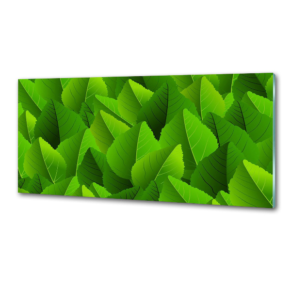 Kitchen splashback Green leaves