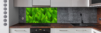 Kitchen splashback Green leaves