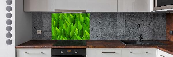 Kitchen splashback Green leaves