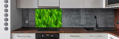 Kitchen splashback Green leaves