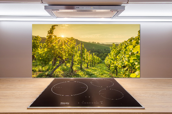 Cooker splashback Vineyard