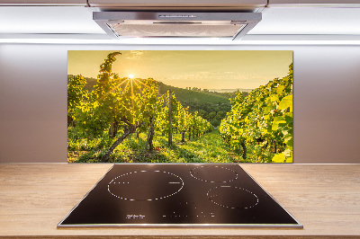 Cooker splashback Vineyard