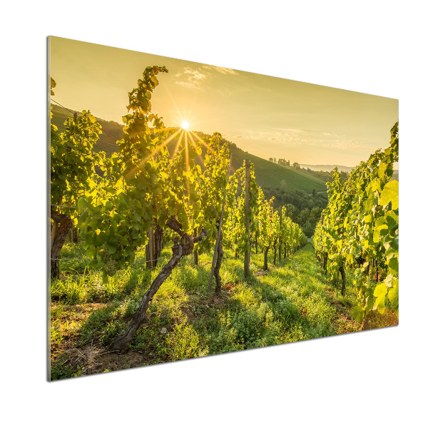 Cooker splashback Vineyard