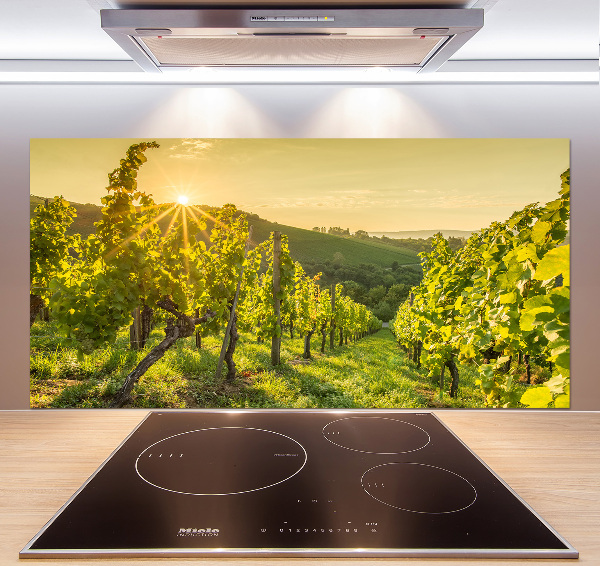 Cooker splashback Vineyard