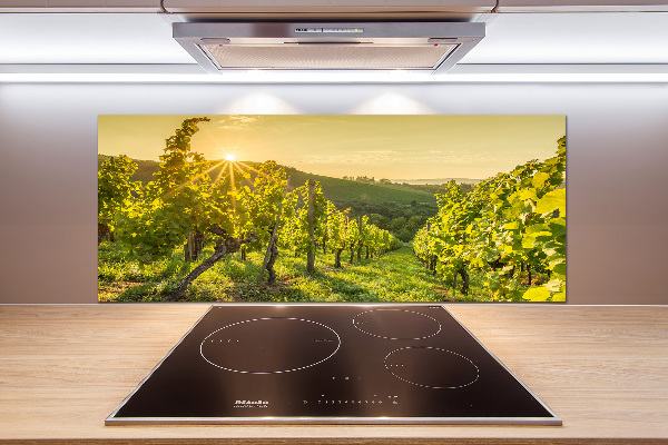 Cooker splashback Vineyard