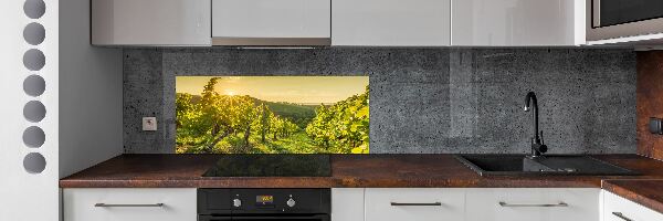 Cooker splashback Vineyard